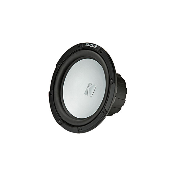 10 inch free air subwoofer